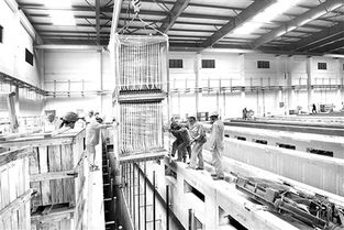 当现代工程邂逅历史回响 福建最大污水处理厂的膜处理提升与文物保护设计